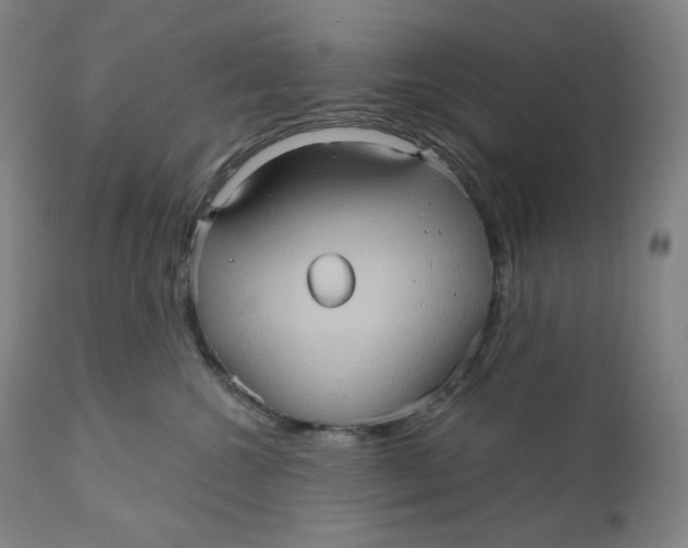 X0000110680572200907021913