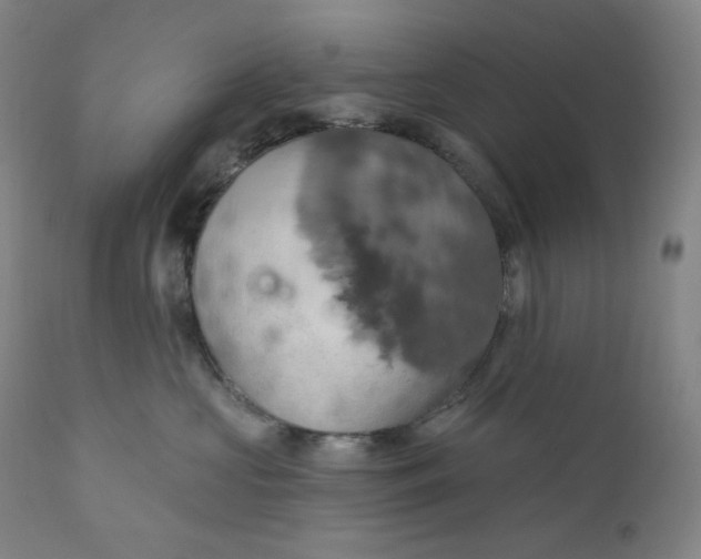 X0000110680573200907021913