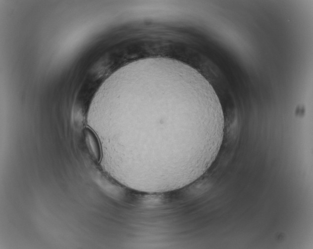 X0000110680574200907021913