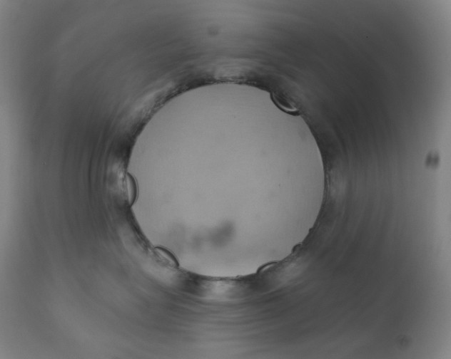 X0000110680575200907021913