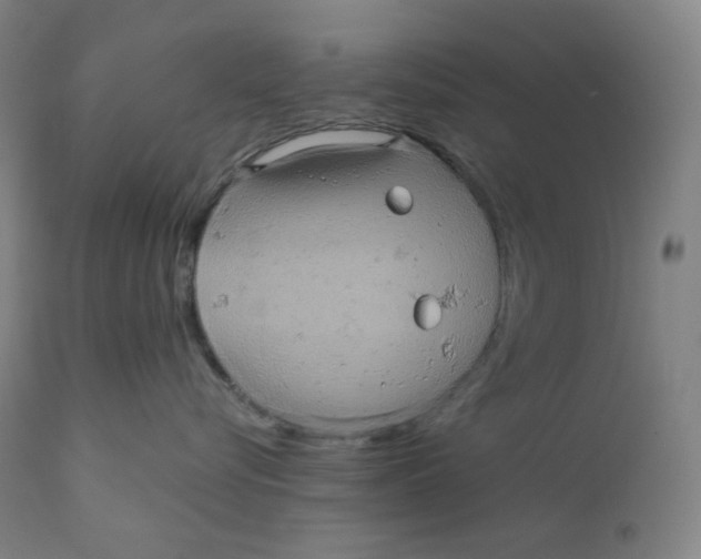 X0000110680576200907021913