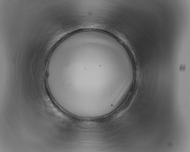 X0000110680577200907021913