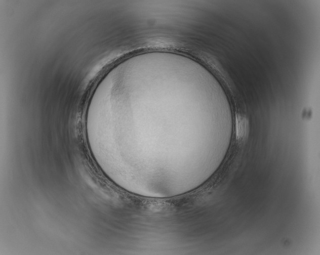 X0000110680579200907021913