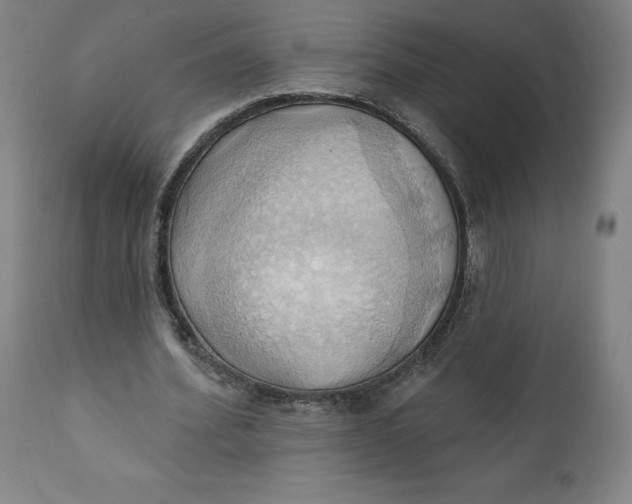 X0000110680580200907021913