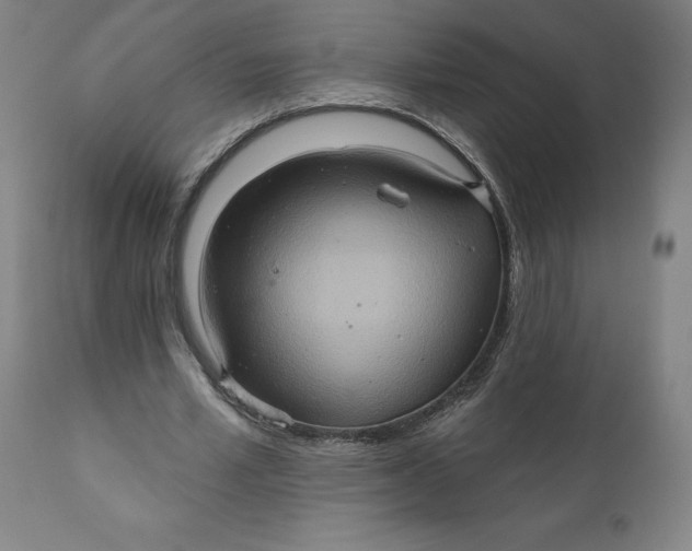 X0000110680581200907021913