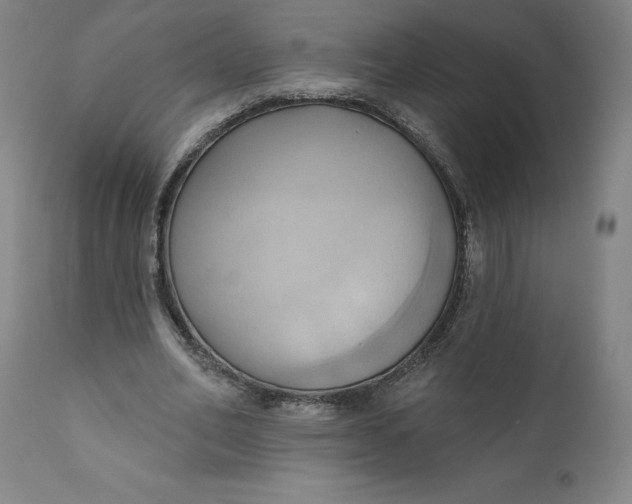 X0000110680582200907021913