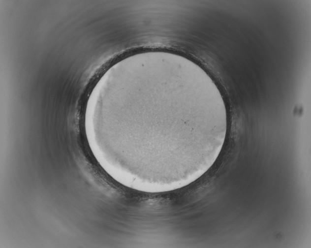 X0000110680584200907021912