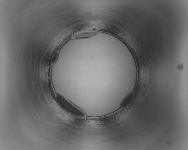 X0000110680585200907021912