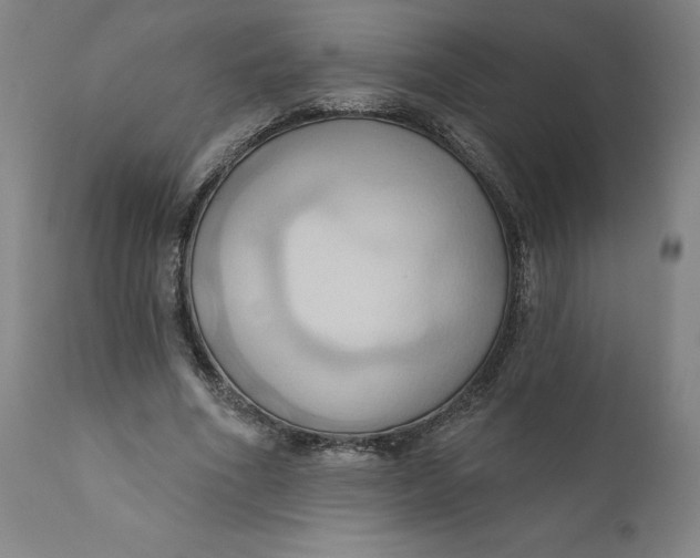 X0000110680586200907021912