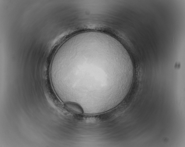 X0000110680587200907021912