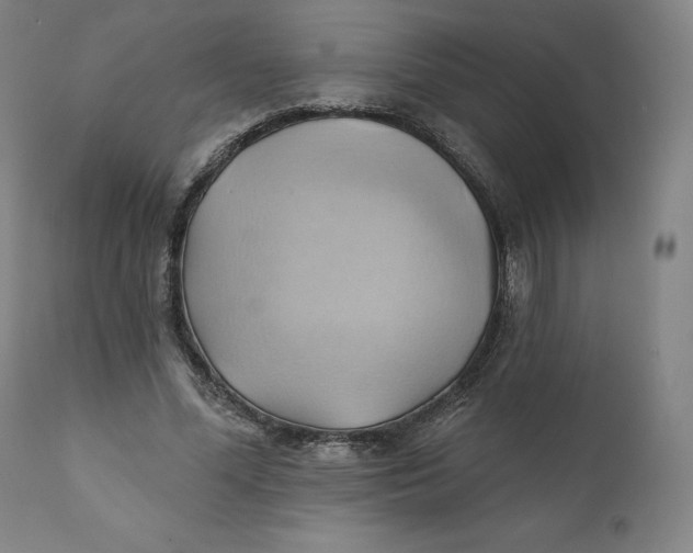 X0000110680588200907021912