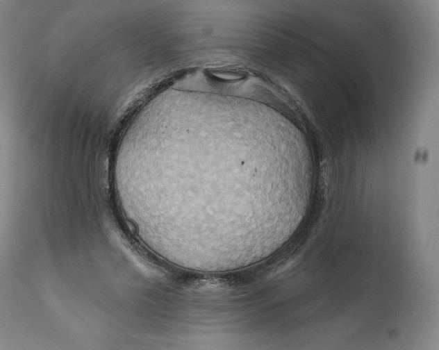 X0000110680589200907021912