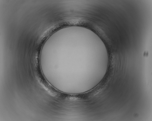 X0000110680590200907021912