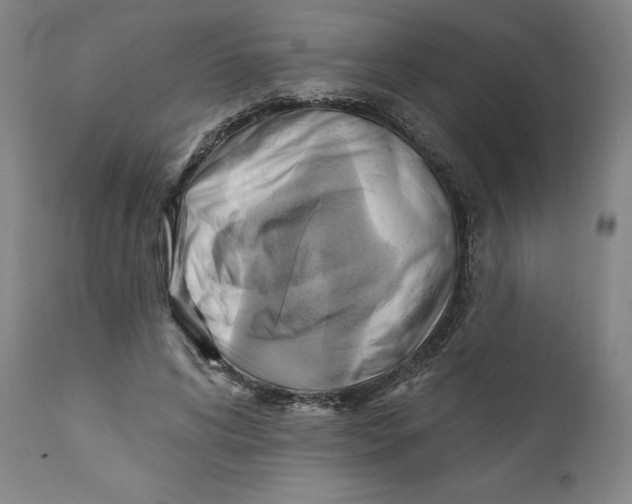 X0000110680592200907021912