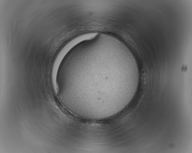 X0000110680593200907021912