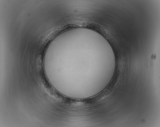 X0000110680594200907021912