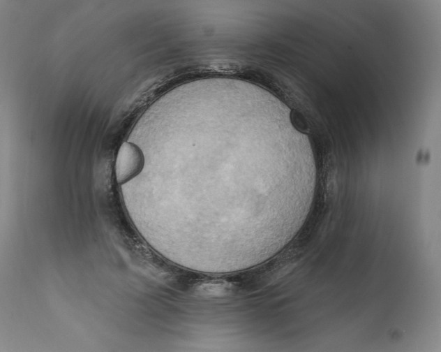 X0000110680595200907021912