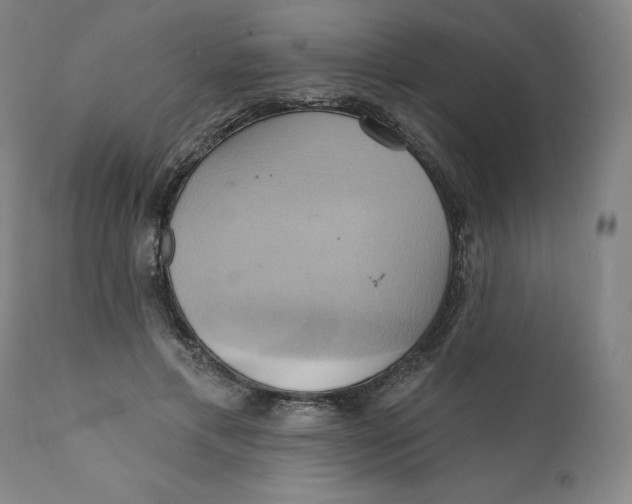 X0000110680597200907021912