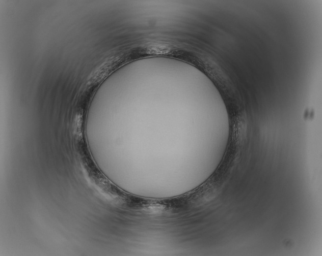 X0000110680598200907021912