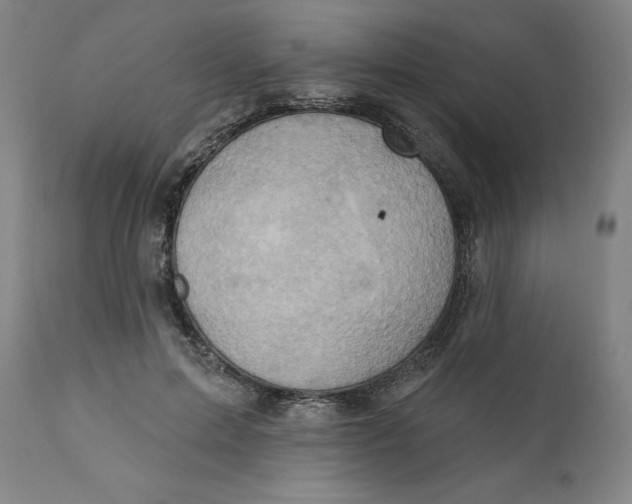 X0000110680599200907021912