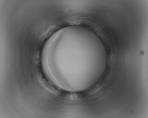 X0000110680600200907021912