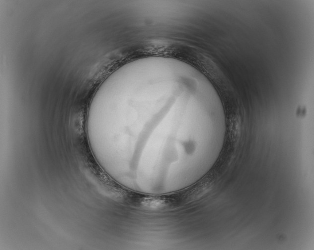 X0000110680602200907021912