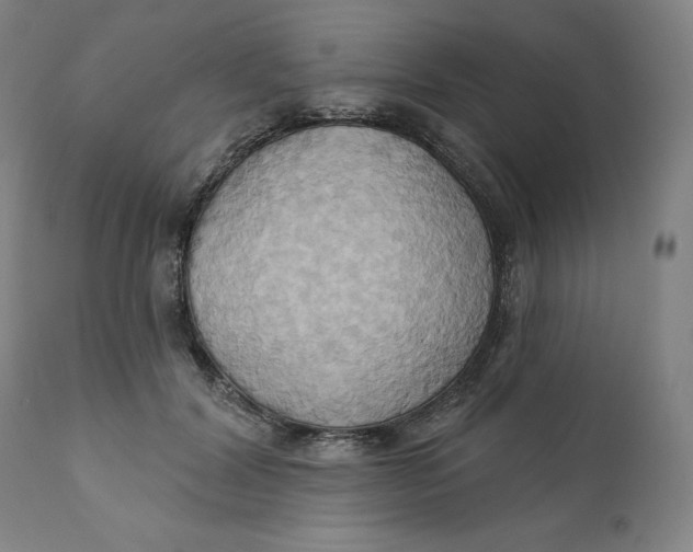 X0000110680604200907021912