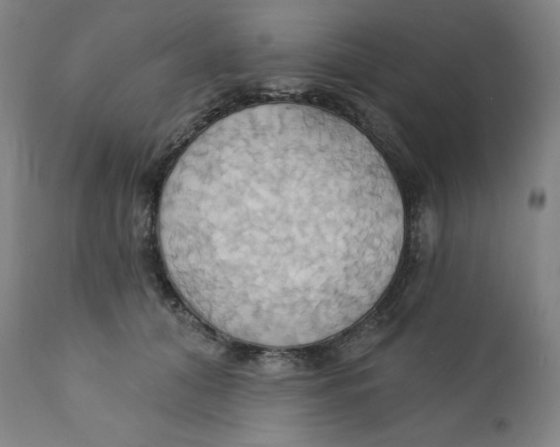 X0000110680608200907021912