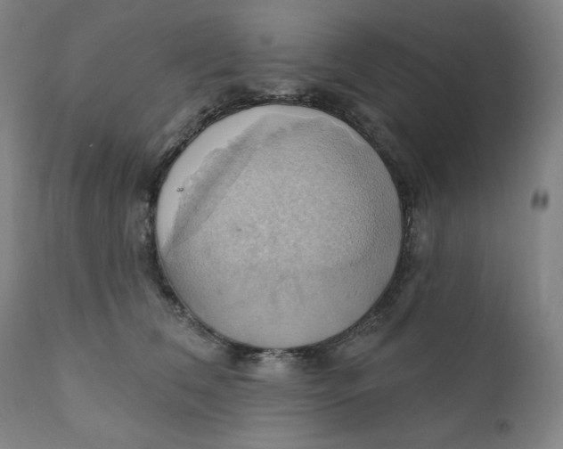 X0000110680612200907021912