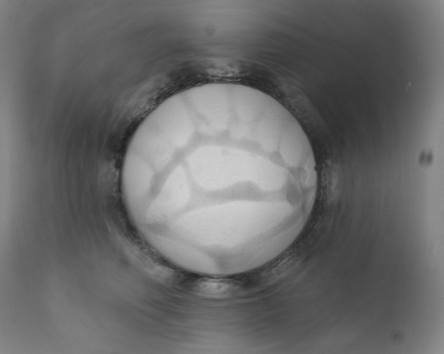 X0000110680614200907021912