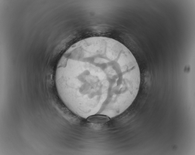 X0000110680615200907021912