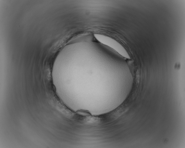 X0000110680617200907021912