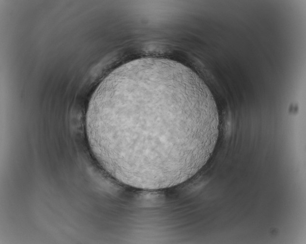 X0000110680619200907021912