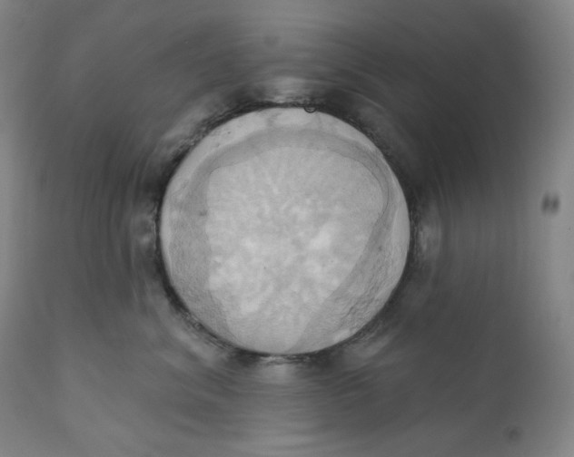 X0000110680620200907021912