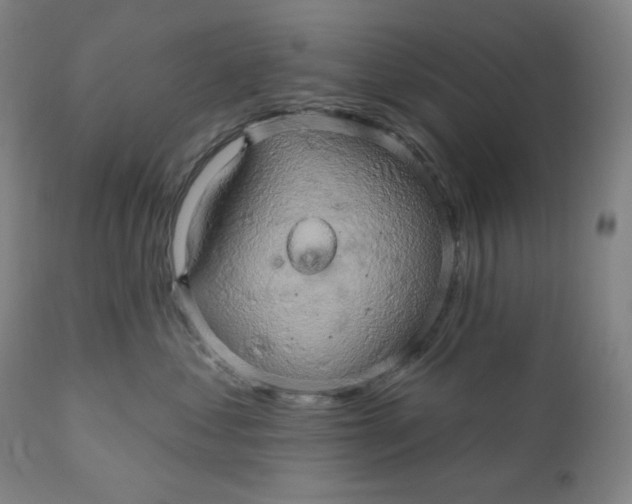 X0000110680621200907021912