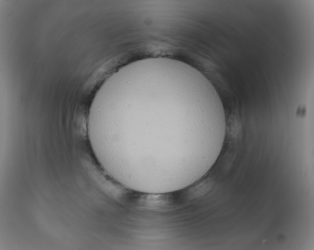 X0000110680622200907021912