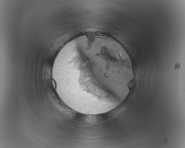 X0000110680623200907021912