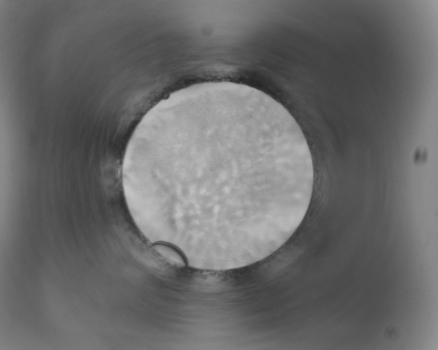 X0000110680624200907021912