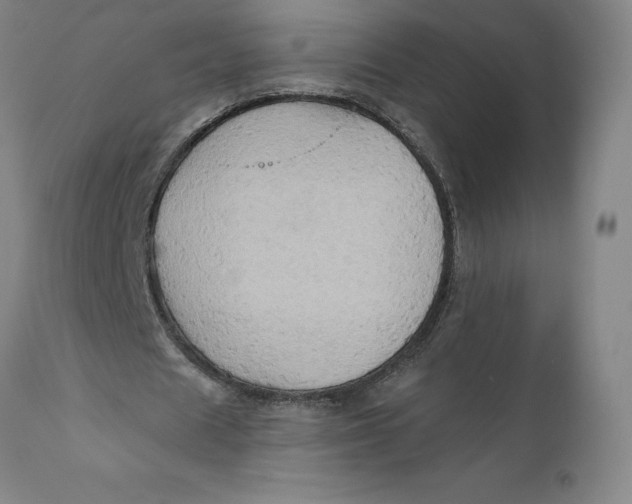 X0000110680625200907021911