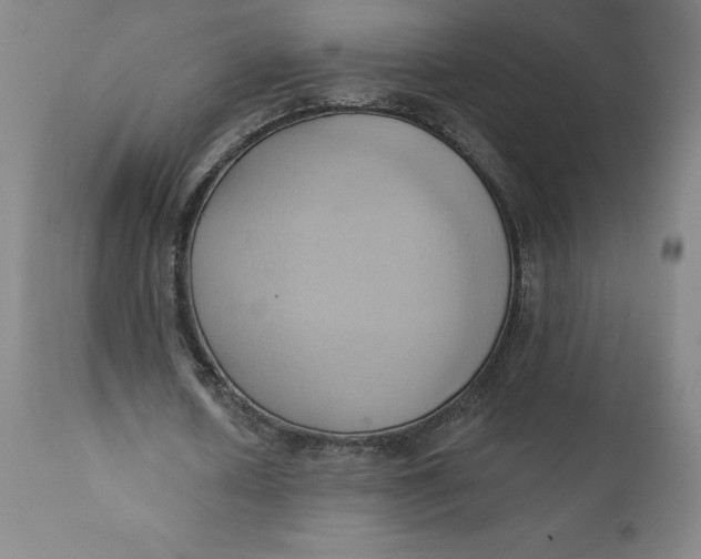 X0000110680626200907021911