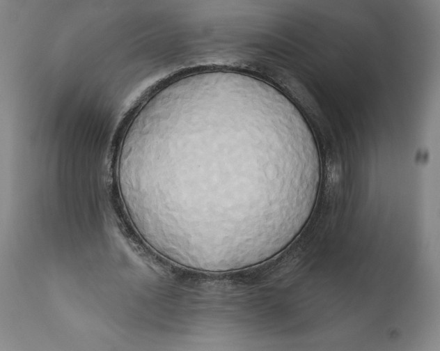 X0000110680628200907021911