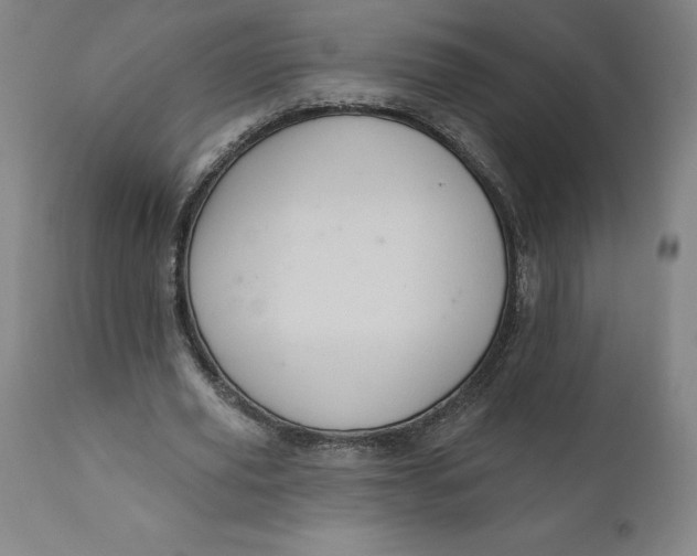 X0000110680629200907021911