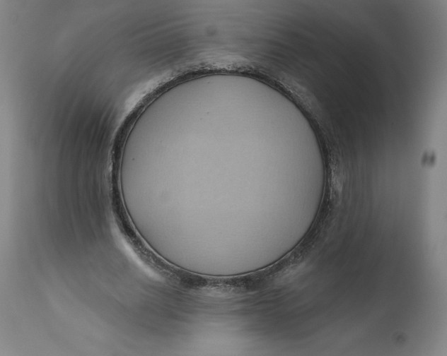 X0000110680630200907021911