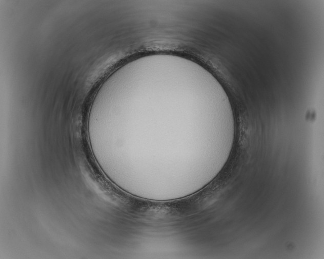 X0000110680631200907021911