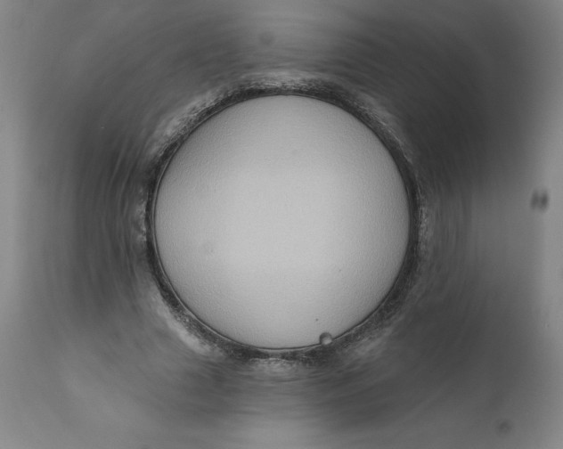 X0000110680633200907021911