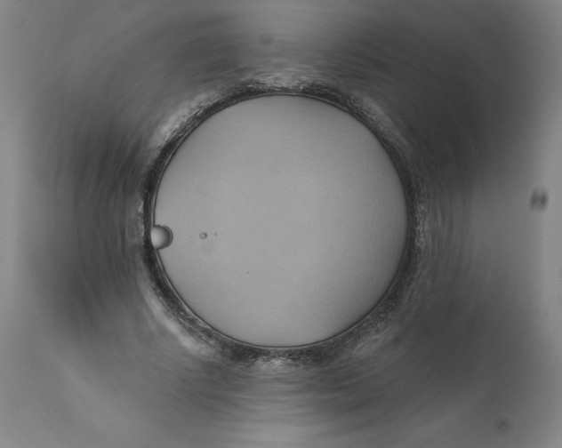 X0000110680634200907021911