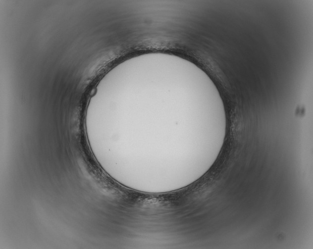 X0000110680635200907021911