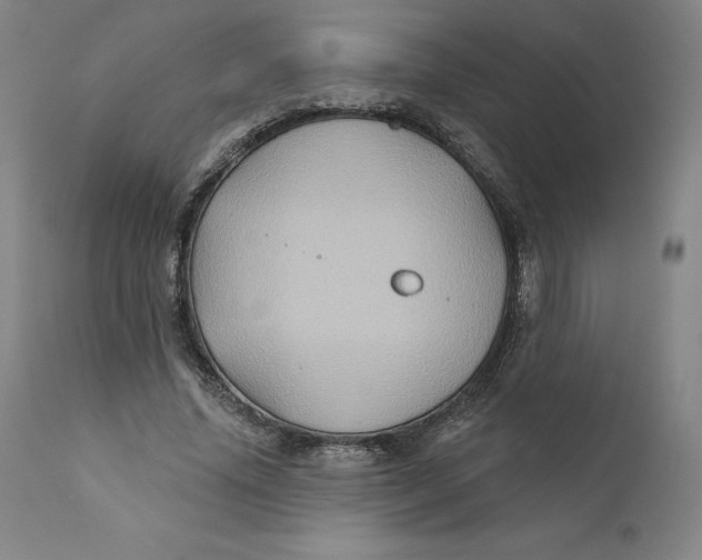 X0000110680636200907021911