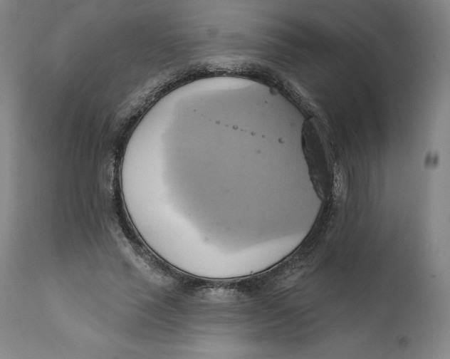 X0000110680637200907021911