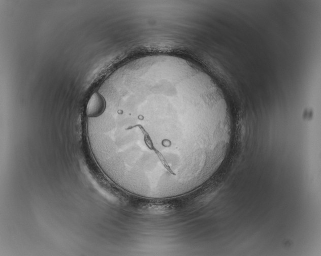 X0000110680638200907021911